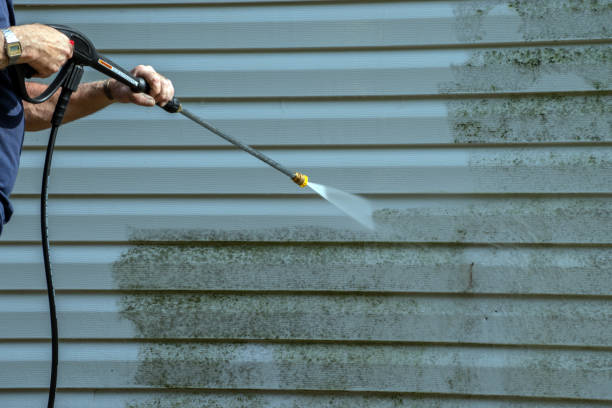 Best House Exterior Washing  in Moorefield, WV